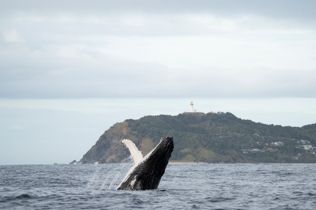 a body of water with a mountain in the background
